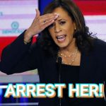 NEW! JOIN THIS WHITE HOUSE PETITION TO DEMAND INVESTIGATION INTO KAMALA HARRIS